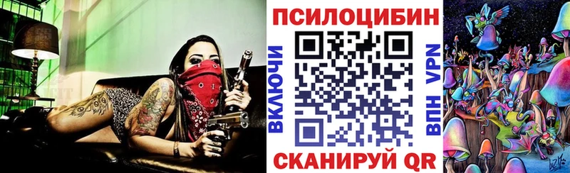 kraken как войти  Калуга  Псилоцибиновые грибы Cubensis 
